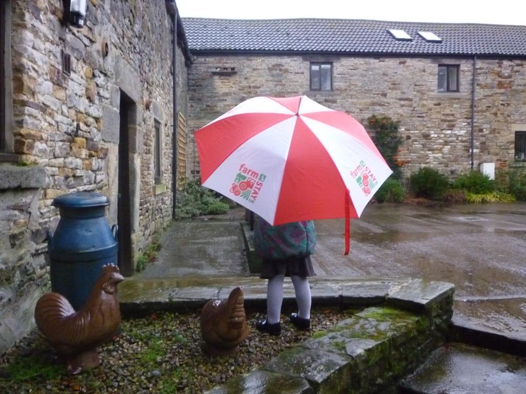 Rye Hill Farm Panzió Hexham Kültér fotó