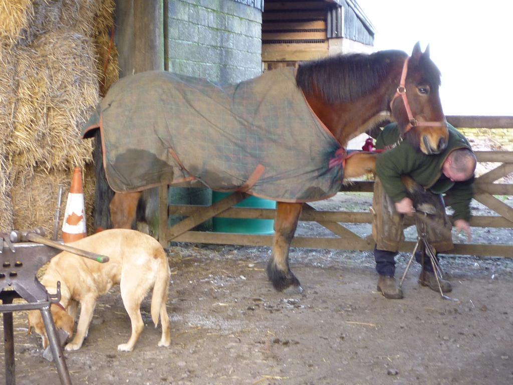 Rye Hill Farm Panzió Hexham Kültér fotó