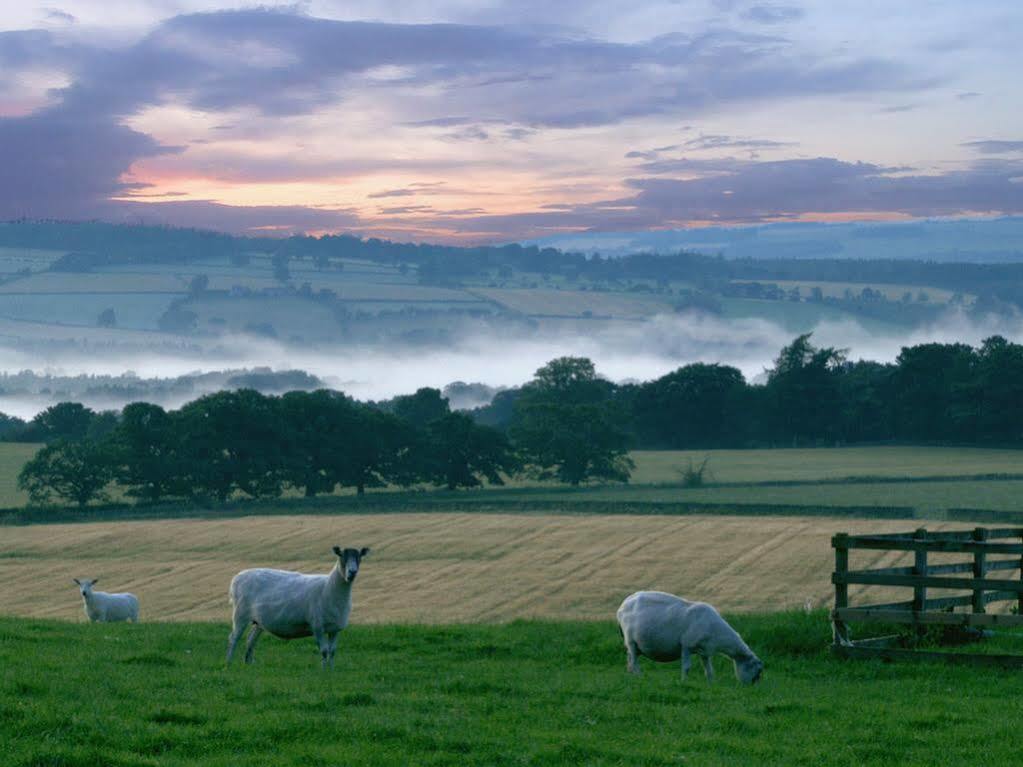Rye Hill Farm Panzió Hexham Kültér fotó